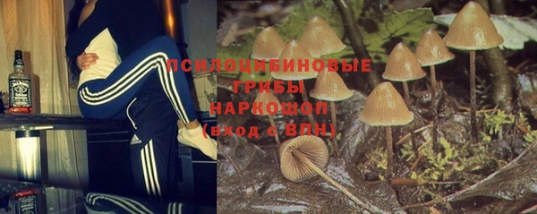 гашик Домодедово