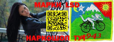 крисы Берёзовский