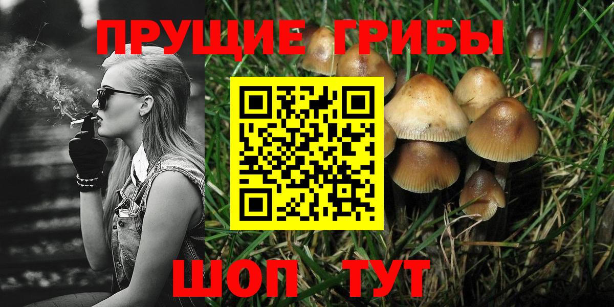 Гусь-Хрустальный  Галлюциногенные грибы мухоморы  дарнет шоп  Вход с VPN 