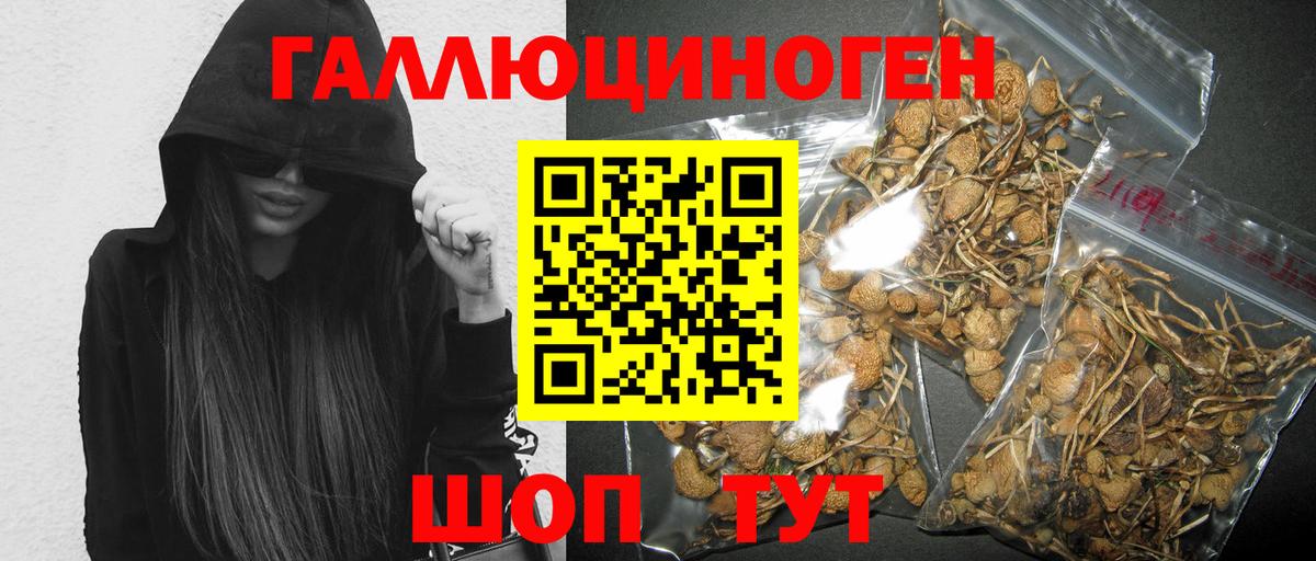 Галлюциногенные грибы Magic Shrooms  Гусь-Хрустальный  цены наркотик  Галлюциногенные грибы мицелий 